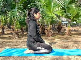 jong Indisch vrouw beoefenen yoga buitenshuis in een park. mooi meisje praktijk eenvoudig yoga houding. rust en kom tot rust, vrouw geluk. eenvoudig yoga poses buitenshuis foto