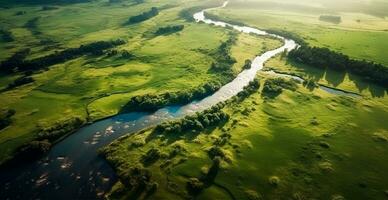panoramisch top visie van een kronkelend rivier- omringd door dicht Woud en ruim velden met groen gras - ai gegenereerd beeld foto