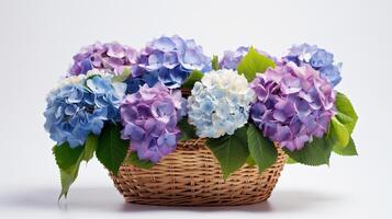 kleurrijk hortensia bloem in bruin rieten mand. generatief ai foto