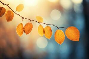 herfst samenstelling met kopiëren ruimte ai generatief foto