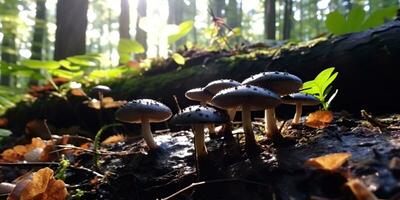 ai gegenereerd. ai generatief. buitenshuis natuur wild landschap Woud onderzoeken reizen avonturen met champignons vind Aan grond. grafisch kunst foto