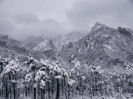 dennenbos onder de sneeuw en grote bergen op de achtergrond. Seoraksan Nationaal Park, Zuid-Korea. winter 2018