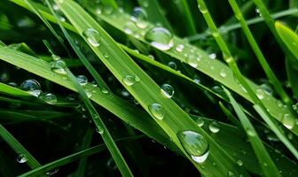 vers weelderig groen gras Aan weide met druppels van water dauw. detailopname macro. generatief ai gereedschap foto