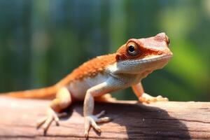 schattig anole in natuur, nationaal geografie, breed leven dieren. ai gegenereerd. foto