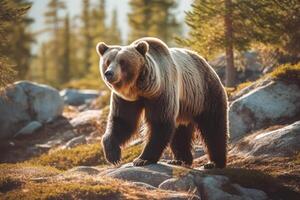 beer in natuur, nationaal geografie, breed leven dieren. ai gegenereerd. foto