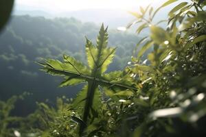 de kruis van god met groen blad, in de stralen van de zon en blauw lucht. kruis Aan de heuvel met groen bomen en groen natuurlijk visie. religieus concept, ai generatief foto