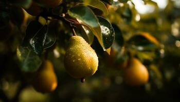 rijp citrus fruit blijft hangen Aan groen Afdeling gegenereerd door ai foto