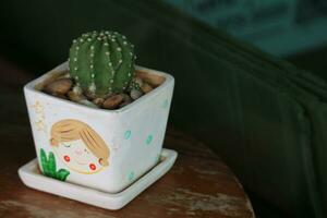 mini sappig cactus in een pot schattig tekenfilm illustratie. perfect voor uw tafel of kamer decoratie. foto