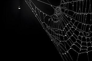 spinnenweb met zwart achtergrond, macro wit spinneweb, ai gegenereerd foto