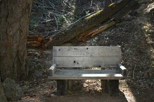 rustiek camping bomen, bank en picknick tafels foto