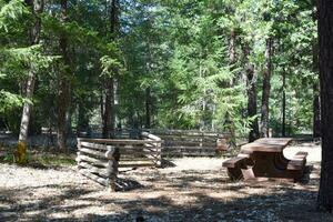 rustiek camping bomen, bank en picknick tafels foto