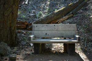 rustiek camping bomen, bank en picknick tafels foto