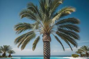 mooi palm boom Aan de achtergrond van de zwembad en de zee. generatief ai foto