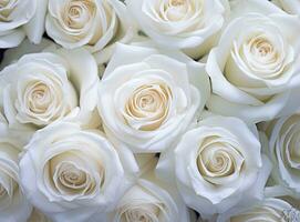wit rozen boeket, wit rozen dichtbij omhoog gemaakt met generatief ai technologie foto