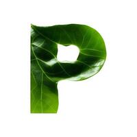 groen blad typografie tekst ontwerp hoofdletters alfabet p, ai generatief foto