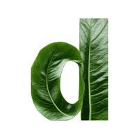 groen blad typografie tekst ontwerp kleine letters alfabet d, ai generatief foto