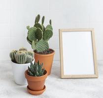 cactussen en vetplanten in potten op tafel foto