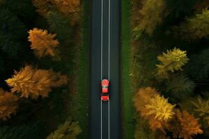 een auto het rijden naar beneden een snelweg door hoog bomen foto