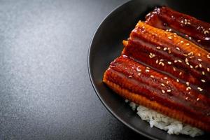 japanse paling gegrild met rijstkom of unagi don