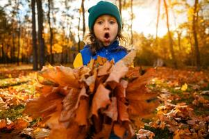 levensstijl portret van grappig versteld staan baby meisje in warm knus kleurrijk kleren op zoek Bij camera Holding verzameld boeket van droog herfst geel esdoorn- bladeren, zittend tussen gedaald bladeren in park Bij zonsondergang foto