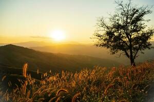 zomer bergen met zonsondergang visie van natuur klif berg. foto