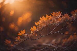 mooi herfst bladeren Aan een boom Afdeling in de zonsondergang licht. generatief ai foto