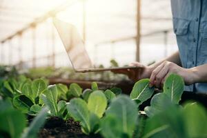 Aziatisch vrouw boer gebruik makend van digitaal tablet in groente tuin Bij serre, bedrijf landbouw technologie concept, kwaliteit slim boer. foto