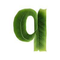 groen blad typografie tekst ontwerp kleine letters alfabet q, ai generatief foto