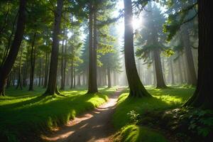 een landschap van betoverd Woud boom en etherisch gloed zonlicht, ai generatief foto