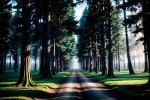 realistisch foto landschap van schemering in een stad park Woud met mistig mysterie, ai generatief