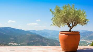 olijf- boom in terra cotta klei pot Aan wit terras onder Doorzichtig blauw lucht met mooi bergen visie generatief ai foto