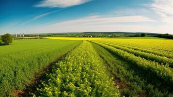 enorm agrarisch veld- panorama schilderij de landschap. generatief ai foto