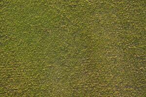 het gras op een golfbaan foto