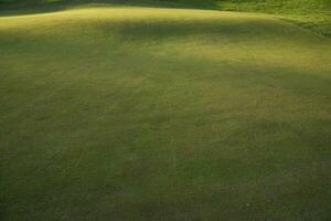 gras Aan een golf Cursus foto