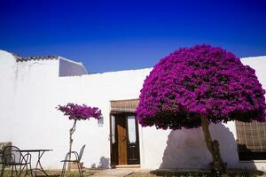 bijzonder bouwkundig masseria foto