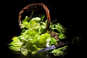 presentatie van groen salade in mand foto