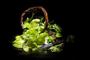 presentatie van groen salade in mand foto