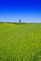 visie van de vallei orcia foto