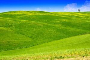 visie van de vallei orcia foto