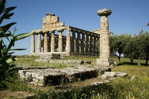 de oude ruïnes van paestum foto