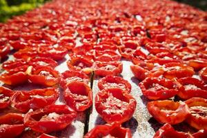 pachino tomaat naar droog foto