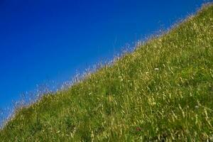 berg een helling van groen gras foto