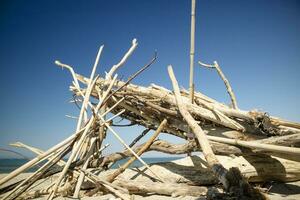 houten constructies Aan de strand foto