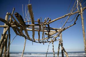 houten gebouwen Aan de vrij strand van viareggio Italië foto