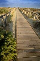 loopbrug leidend naar de zee in de natuurlijk park van viareggio Italië foto