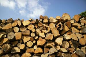 stack brandhout reserveren voor de winter foto