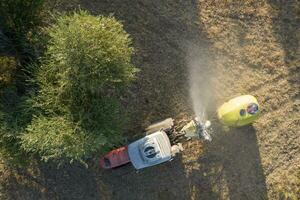 pesticide behandeling voor een olijf- plantage foto