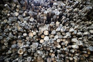 fotografisch documentatie van een stack van brandhout foto