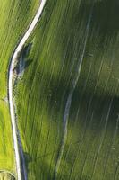 antenne visie van een gecultiveerd veld- in voorjaar foto