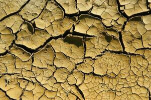 de Effecten van droogte Aan de aarde foto